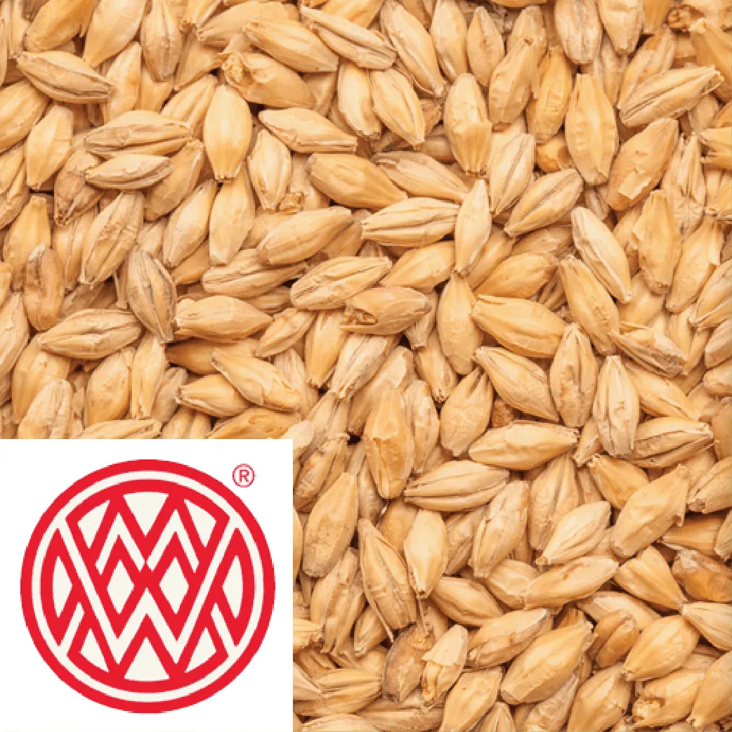 25kg SACK - Pale Ale Malt - Weyermann (GER)