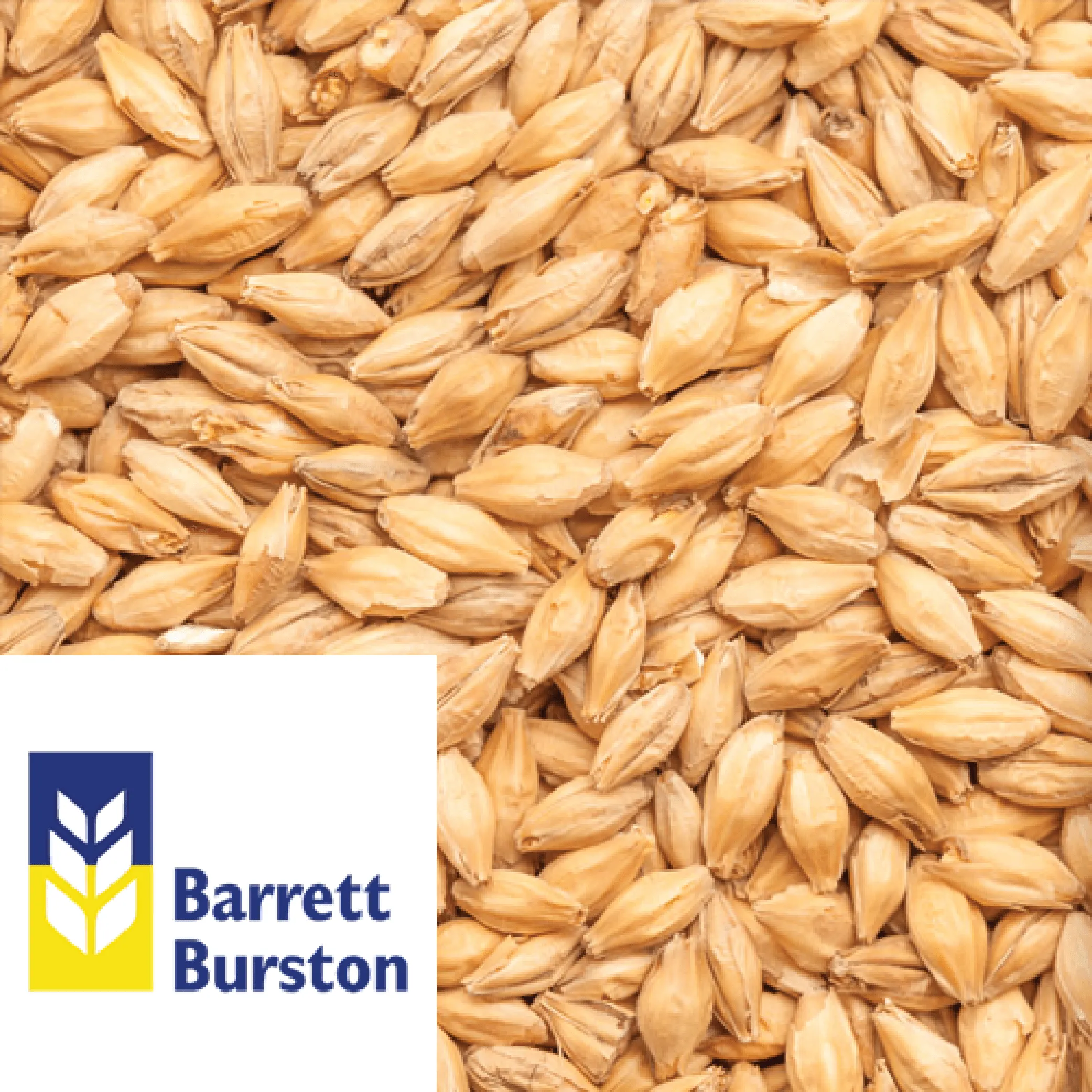 25kg SACK - Pilsner Malt (Victorian Pale Malt) - Barrett Burston (AUS)