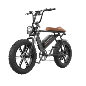 Aostirmotor Super Cool New Model Electric Bike Storm | 750W Brushless Motor | 48V 13Ah Lithium Battery