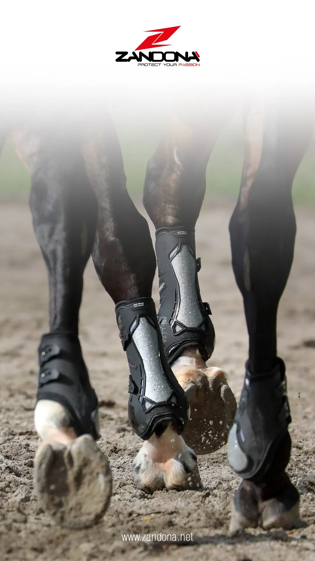 Carbon Chic Tendon Boots