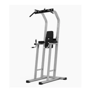 Exigo Chin Dip Leg Raise Station