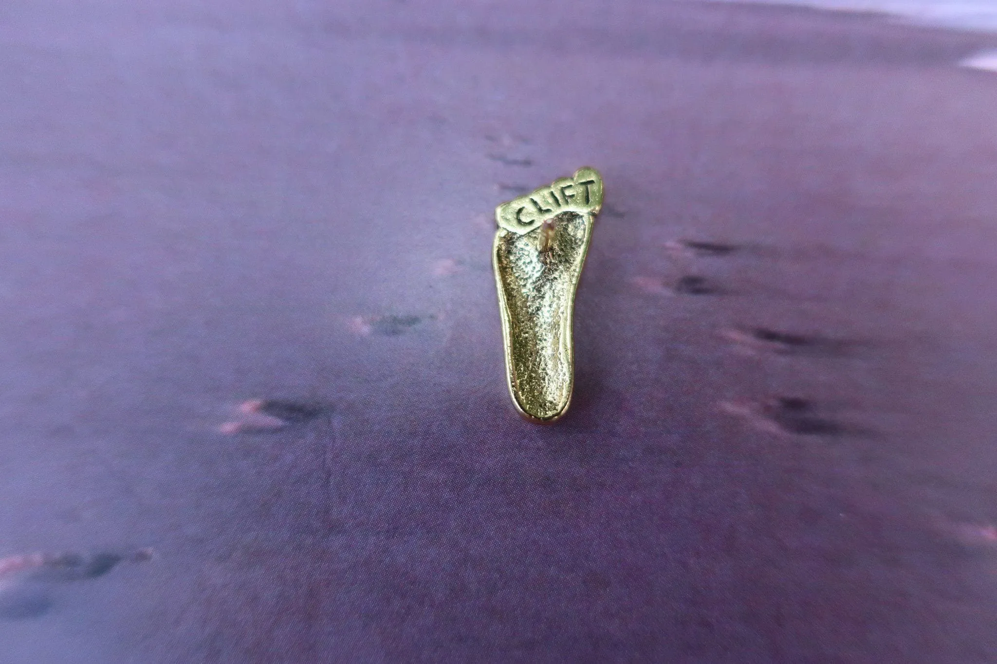 Foot Gold Lapel Pin