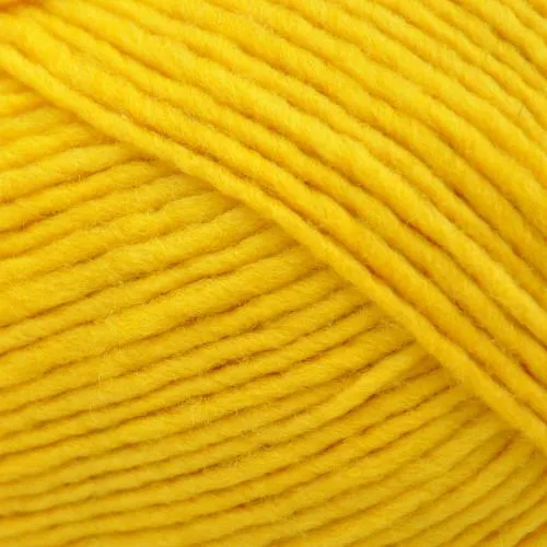 Lanaloft Bulky Weight Yarn | 160 Yards | 100% Wool