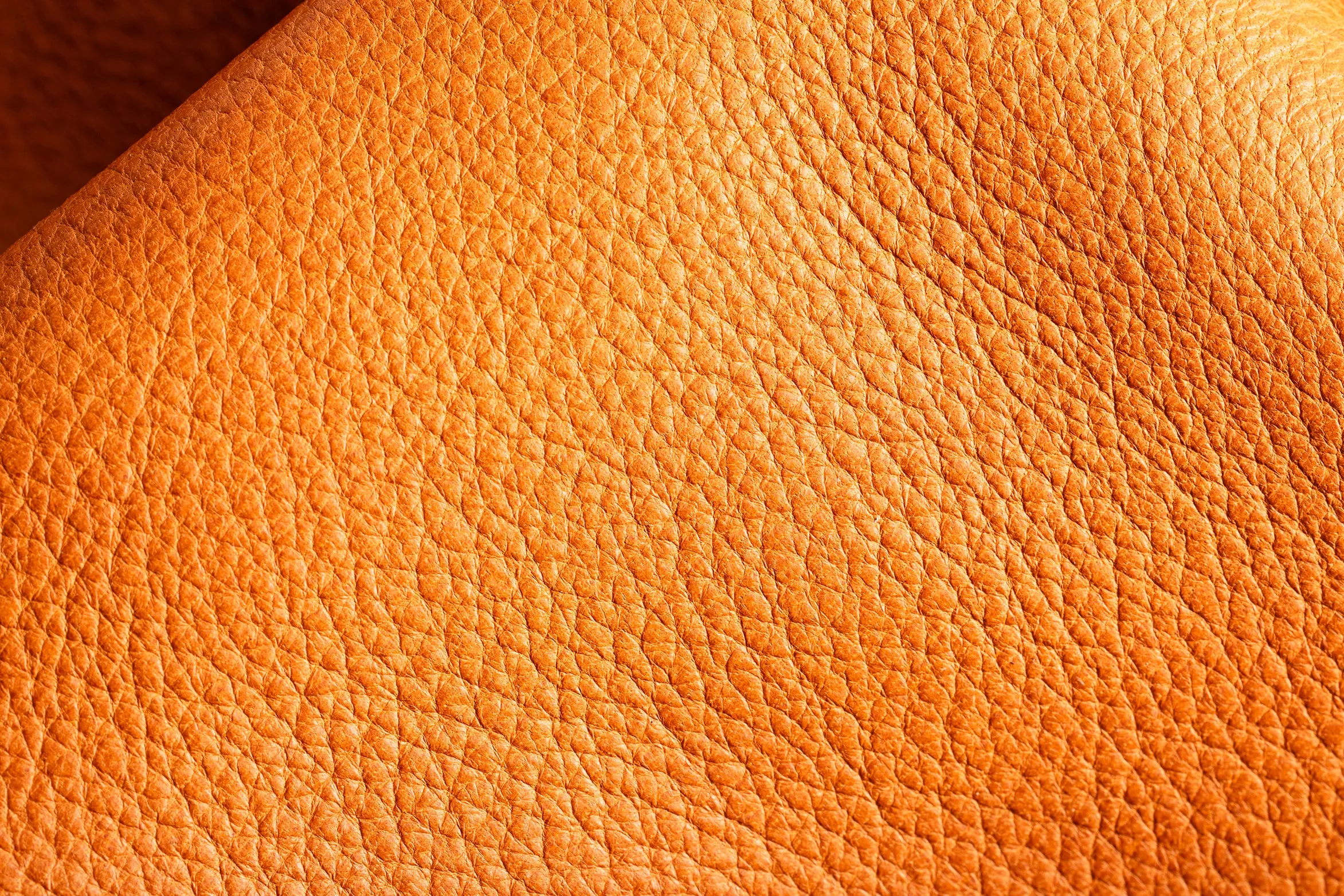 Maryam - Deer Vachetta - Veg Tanned Leather (HIDES)