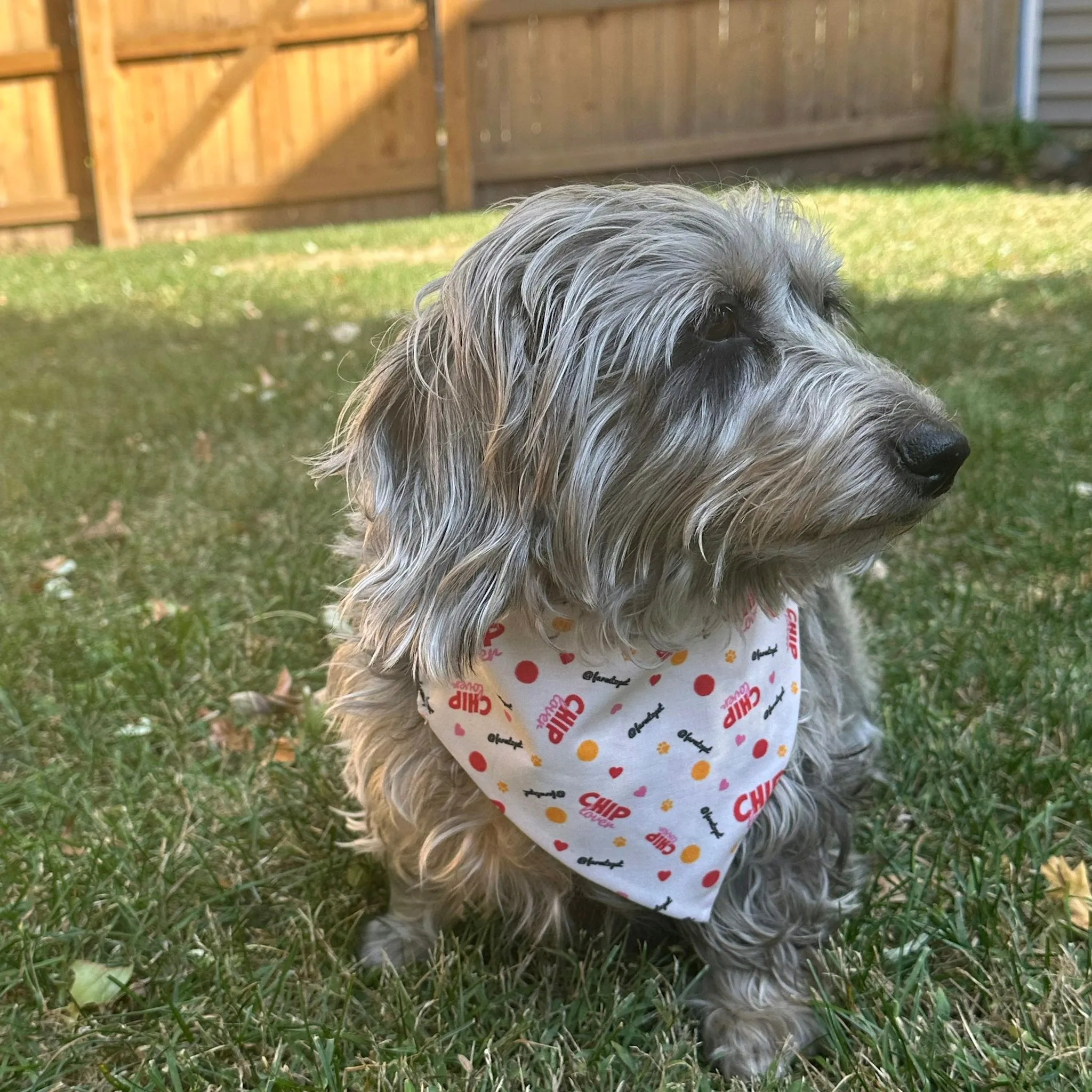 String Tie-On Dog Bandanas