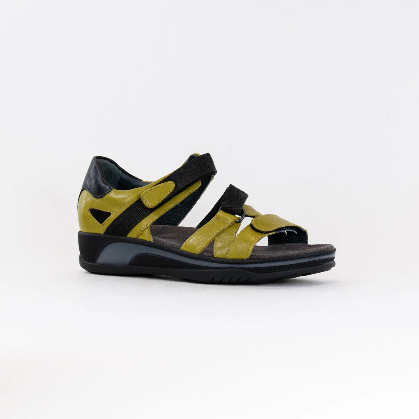 Wolky Desh (Women's) - Olive Green